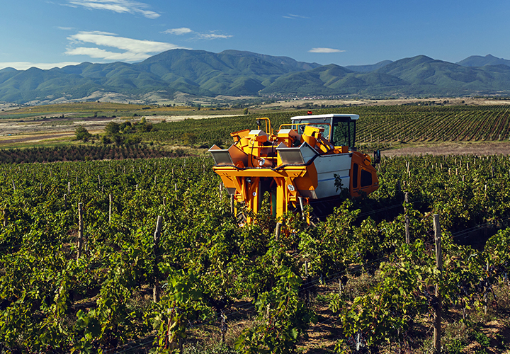 葡萄收获机轮胎 | 特瑞堡轮胎